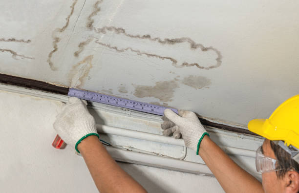 Reliable Water Extraction contractor in Paramus, NJ by Water Damage Irwin